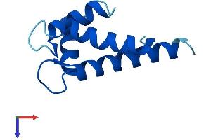 AlphaFold protein structure predicition of Human Recombinant S100A5 Protein, UniprotID P33763