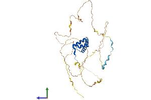 AlphaFold protein structure predicition of Human Recombinant HOXA10 Protein, UniprotID P31260