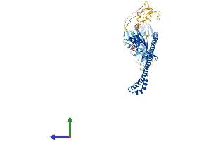 AlphaFold protein structure predicition of Mouse Recombinant Trim45 Protein, UniprotID Q6PFY8