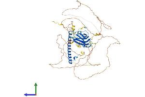 AlphaFold protein structure predicition of Mouse Recombinant Rab11fip5 Protein, UniprotID Q8R361
