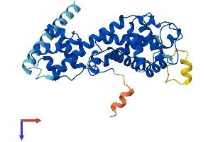 AlphaFold protein structure predicition of Mouse Recombinant Elmod1 Protein, UniprotID Q3V1U8