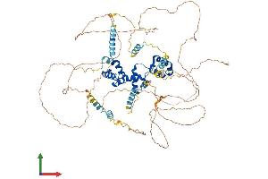 AlphaFold protein structure predicition of Human Recombinant MYBL1 Protein, UniprotID P10243