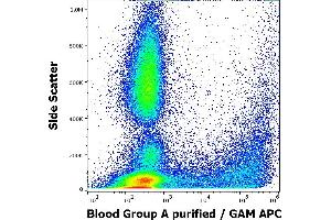 Flow cytometry surface staining pattern of human peripheral whole blood stained using anti-human Blood Group A (HE-195) purified antibody (concentration in sample 3,3 μg/mL, GAM APC). (ABO, Blood Group A Antigen anticorps)