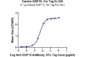 Immobilized Canine GDF15, His Tag at 1 μg/mL (100 μL/Well) on the plate. (GDF15 Protein (AA 197-307) (His tag))