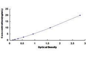 Sulfite Oxidase (SUOX) ELISA Kit
