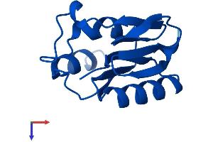 AlphaFold protein structure predicition of Mouse Recombinant Aamdc Protein, UniprotID Q8R0P4