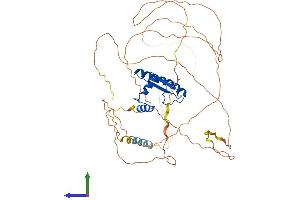 AlphaFold protein structure predicition of Human Recombinant MEF2A Protein, UniprotID Q02078