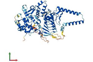AlphaFold protein structure predicition of Human Recombinant TBCCD1 Protein, UniprotID Q9NVR7