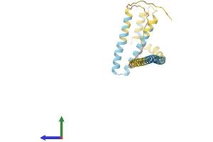 AlphaFold protein structure predicition of Human Recombinant REEP1 Protein, UniprotID Q9H902