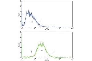 Flow cytometric analysis of HepG2 cells using IL17RB antibody (bottom histogram) compared to a negative control (top histogram). (IL17 Receptor B anticorps  (AA 207-234))