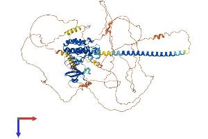 AlphaFold protein structure predicition of Mouse Recombinant Map3k12 Protein, UniprotID Q60700