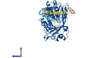 AlphaFold protein structure predicition of Human Recombinant KMO Protein, UniprotID O15229