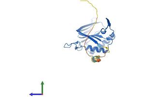 AlphaFold protein structure predicition of Mouse Recombinant Dtd1 Protein, UniprotID Q9DD18