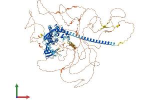 AlphaFold protein structure predicition of Human Recombinant MAP3K9 Protein, UniprotID P80192