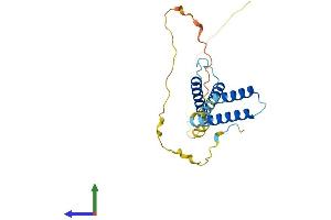 AlphaFold protein structure predicition of Human Recombinant HES4 Protein, UniprotID Q9HCC6