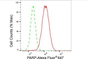 Flow cytometric analysis of PARP expression in HAP-1 cells using PARP antibody (ABIN7799867), 1:2,000).