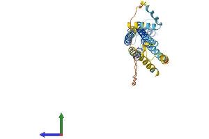 AlphaFold protein structure predicition of Human Recombinant GJD3 Protein, UniprotID Q8N144