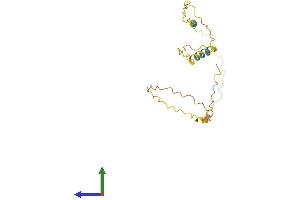 AlphaFold protein structure predicition of Human Recombinant ARRDC1-AS1 Protein, UniprotID Q9H2J1 (ARRDC1-AS1 (AA 1-176) protein (His tag))