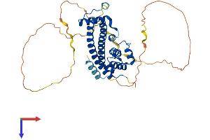 AlphaFold protein structure predicition of Human Recombinant IST1 Protein, UniprotID P53990
