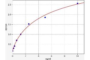 Angiopoietin-Like 3 (ANGPTL3) ELISA Kit