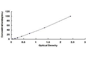 Typical standard curve