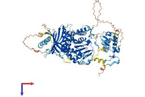AlphaFold protein structure predicition of Mouse Recombinant Trmt44 Protein, UniprotID Q9D2Q2