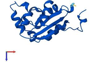 AlphaFold protein structure predicition of Human Recombinant NME2 Protein, UniprotID P22392