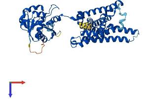 AlphaFold protein structure predicition of Mouse Recombinant Steap4 Protein, UniprotID Q923B6