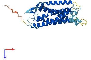 AlphaFold protein structure predicition of Mouse Recombinant Cysltr2 Protein, UniprotID Q920A1