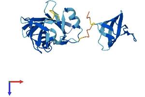 AlphaFold protein structure predicition of Human Recombinant GRB2 Protein, UniprotID P62993
