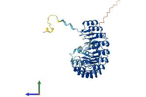 AlphaFold protein structure predicition of Human Recombinant FBXL20 Protein, UniprotID Q96IG2