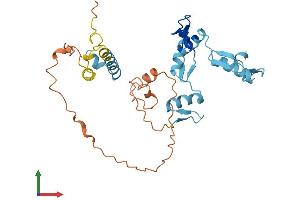 AlphaFold protein structure predicition of Human Recombinant ZNF705D Protein, UniprotID P0CH99