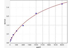 Connective Tissue Growth Factor (CTGF) ELISA Kit