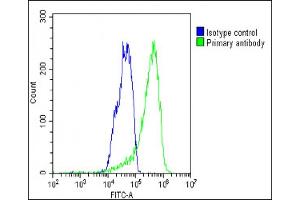 Overlay histogram showing HepG2 cells stained with (ABIN391880 and ABIN2841699)(green line).