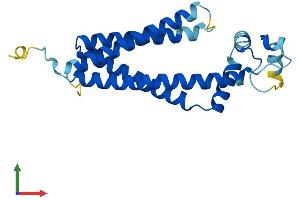 AlphaFold protein structure predicition of Human Recombinant TSPAN31 Protein, UniprotID Q12999