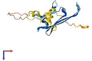 AlphaFold protein structure predicition of Human Recombinant HSPB3 Protein, UniprotID Q12988
