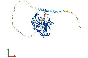 AlphaFold protein structure predicition of Mouse Recombinant Hs3st3b1 Protein, UniprotID Q9QZS6