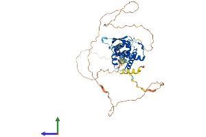 AlphaFold protein structure predicition of Mouse Recombinant Tfap2b Protein, UniprotID Q61313