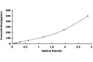 Typical standard curve