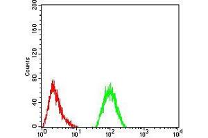 Flow cytometric analysis of Hela cells using IL1RAPL1 mouse mAb (green) and negative control (red). (IL1RAPL1 anticorps  (AA 541-694))