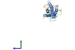 AlphaFold protein structure predicition of Mouse Recombinant Cldn6 Protein, UniprotID Q9Z262