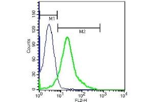 RSC96 cells probed with Rabbit Anti-ADORA2B Polyclonal Antibody, PE Conjugated .