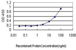 Detection limit for recombinant GST tagged PHKG1 is approximately 1ng/ml as a capture antibody. (PHKG1 anticorps  (AA 1-387))