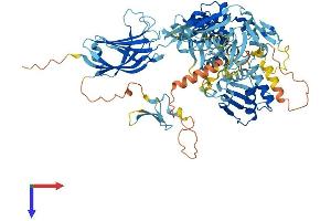 AlphaFold protein structure predicition of Mouse Recombinant Smurf2 Protein, UniprotID A2A5Z6