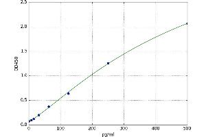 Dickkopf 2 Homolog (DKK2) ELISA Kit