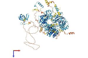 AlphaFold protein structure predicition of Mouse Recombinant Dhx8 Protein, UniprotID A2A4P0