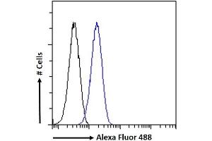(ABIN6391349) Flow cytometric analysis of paraformaldehyde fixed A431 cells (blue line), permeabilized with 0. (PPP1R12A anticorps  (C-Term))