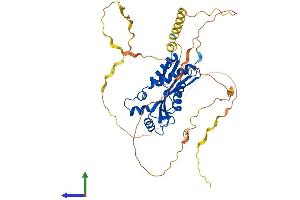 AlphaFold protein structure predicition of Human Recombinant PRRC1 Protein, UniprotID Q96M27