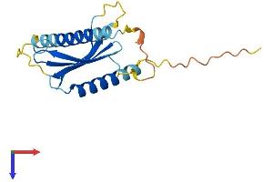 AlphaFold protein structure predicition of Mouse Recombinant Ap5s1 Protein, UniprotID Q9D742