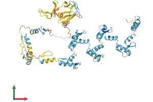 AlphaFold protein structure predicition of Mouse Recombinant Prdm5 Protein, UniprotID Q9CXE0